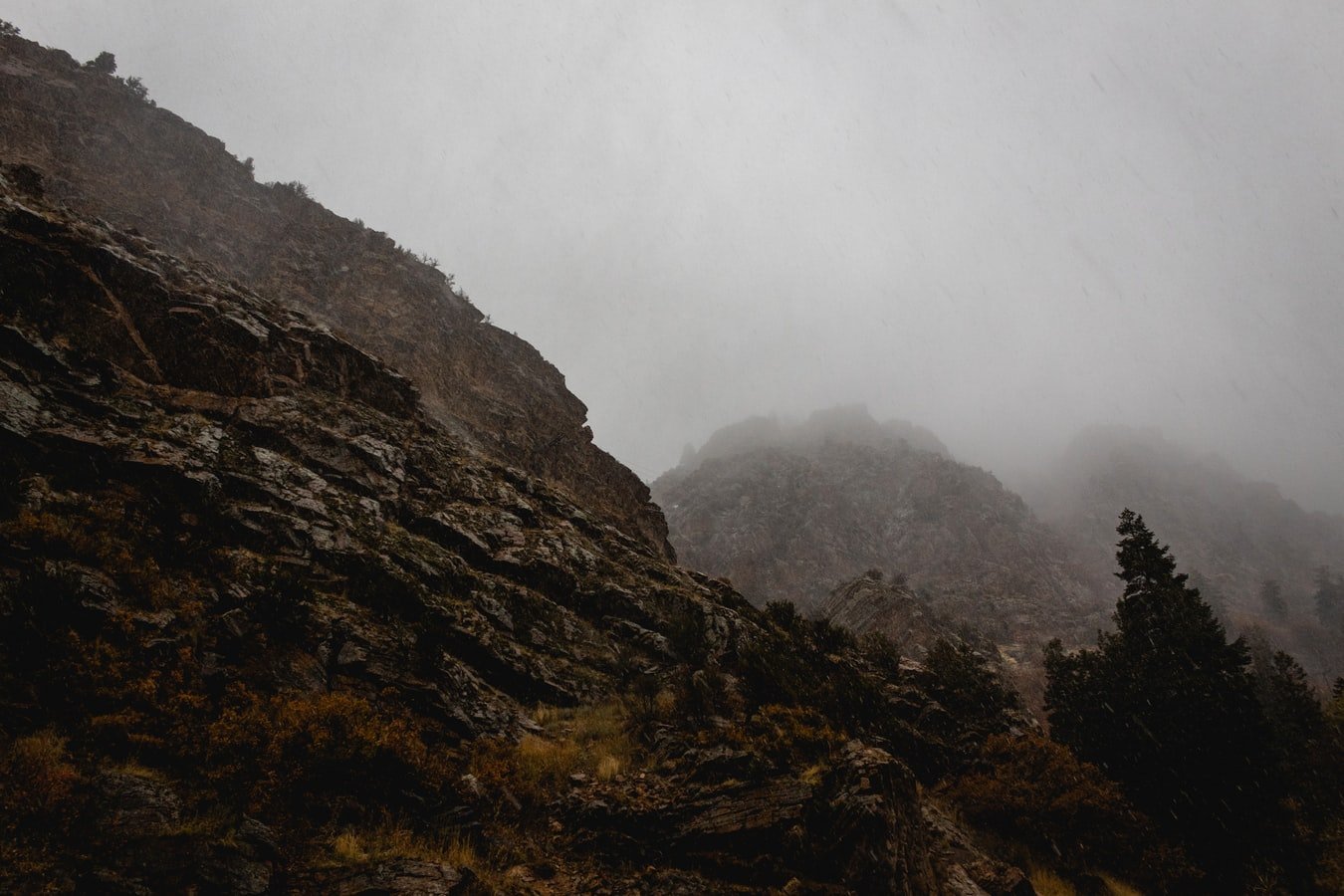 footer_bg-1